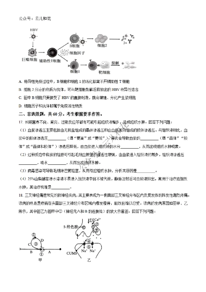 广西合浦县2024-2025学年高二上学期期中检测生物试题Word版无答案_2024-2025高二（7-7月题库）_2024年12月试卷_1227广西北海市合浦县2024-2025学年高二上学期期中检测