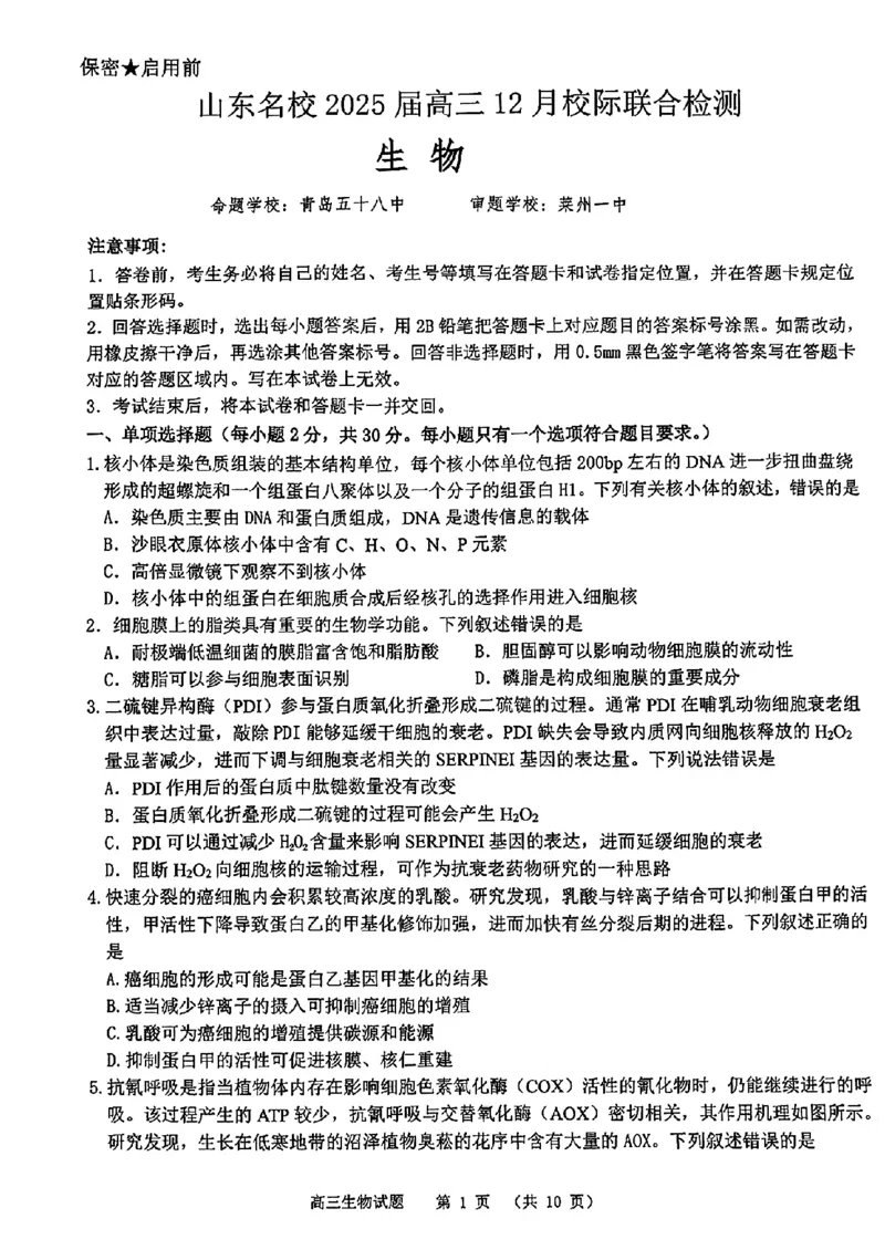 山东省部分名校2025届高三上学期12月校际联合检测生物+答案_2024-2025高三（6-6月题库）_2024年12月试卷_1215山东省名校2025届高三上学期12月校际联合检测