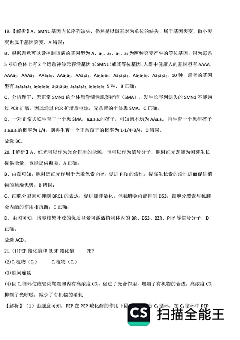 山东省部分名校2025届高三上学期12月校际联合检测生物+答案_2024-2025高三（6-6月题库）_2024年12月试卷_1215山东省名校2025届高三上学期12月校际联合检测