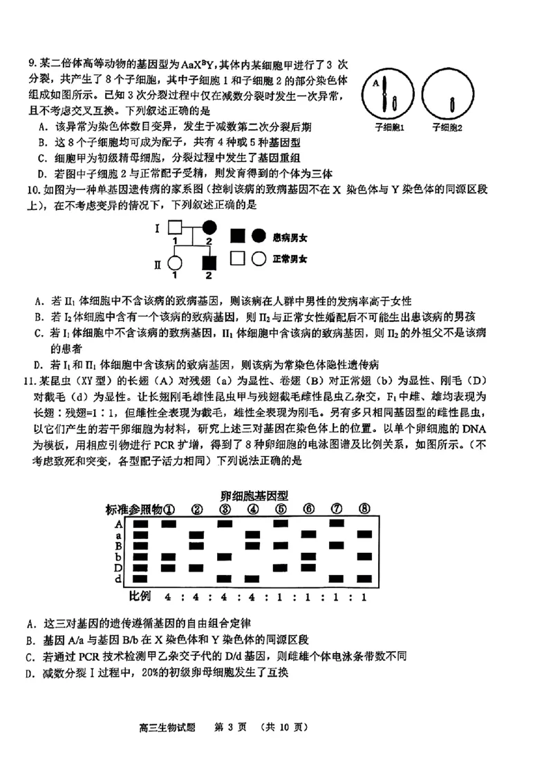 山东省部分名校2025届高三上学期12月校际联合检测生物+答案_2024-2025高三（6-6月题库）_2024年12月试卷_1215山东省名校2025届高三上学期12月校际联合检测