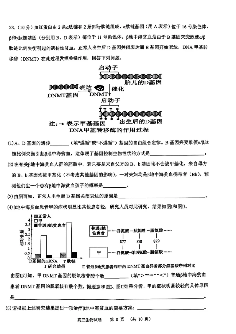 山东省部分名校2025届高三上学期12月校际联合检测生物+答案_2024-2025高三（6-6月题库）_2024年12月试卷_1215山东省名校2025届高三上学期12月校际联合检测