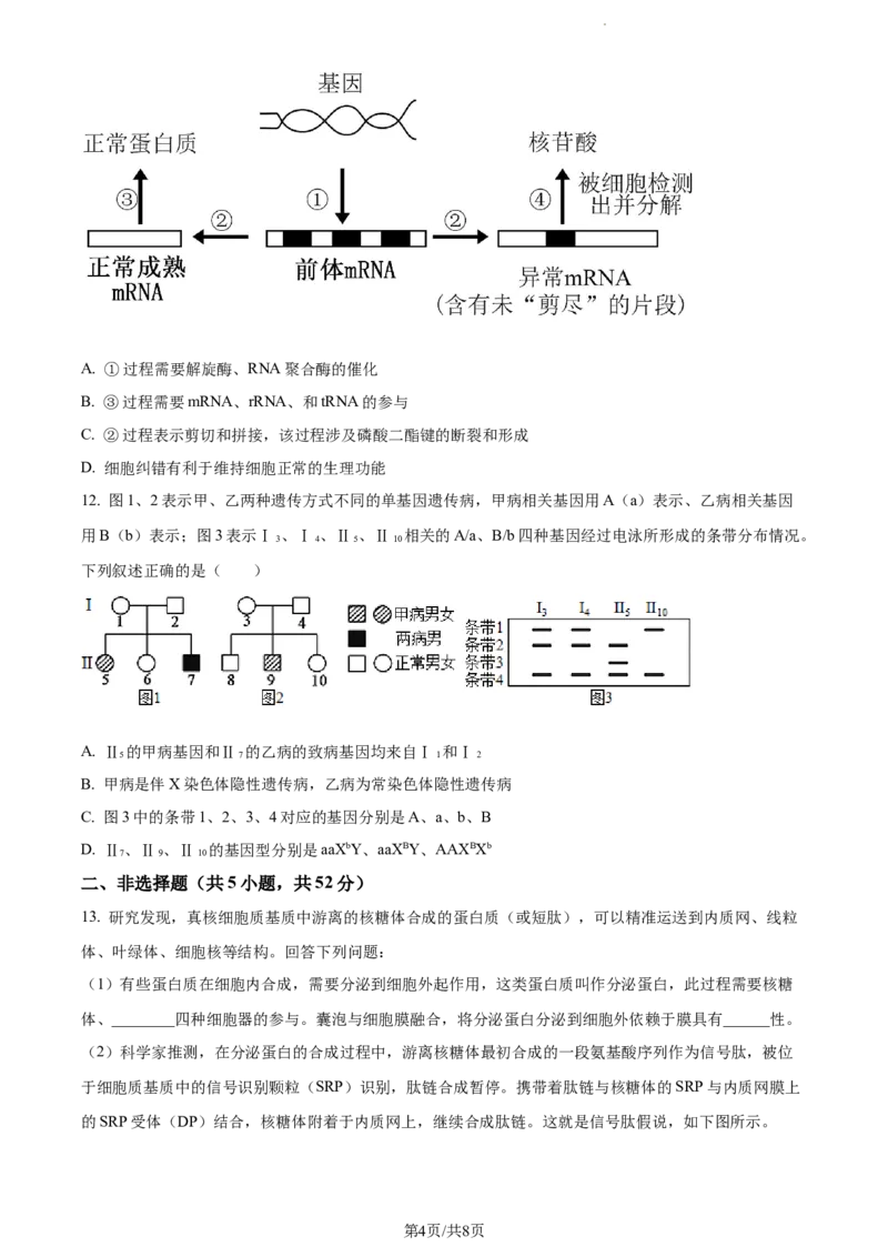 精品解析：天津市河西区2023-2024学年高三11月期中生物试题（原卷版）(1)_2023年11月_0211月合集_2024届天津市河西区高三上学期期中质量调查试题