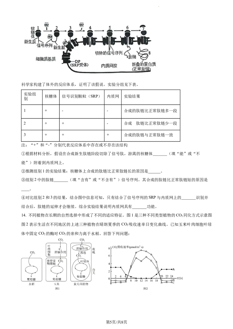 精品解析：天津市河西区2023-2024学年高三11月期中生物试题（原卷版）(1)_2023年11月_0211月合集_2024届天津市河西区高三上学期期中质量调查试题