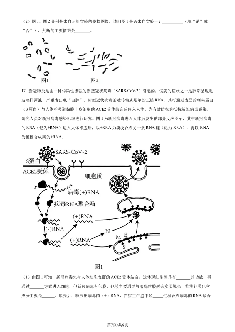 精品解析：天津市河西区2023-2024学年高三11月期中生物试题（原卷版）(1)_2023年11月_0211月合集_2024届天津市河西区高三上学期期中质量调查试题