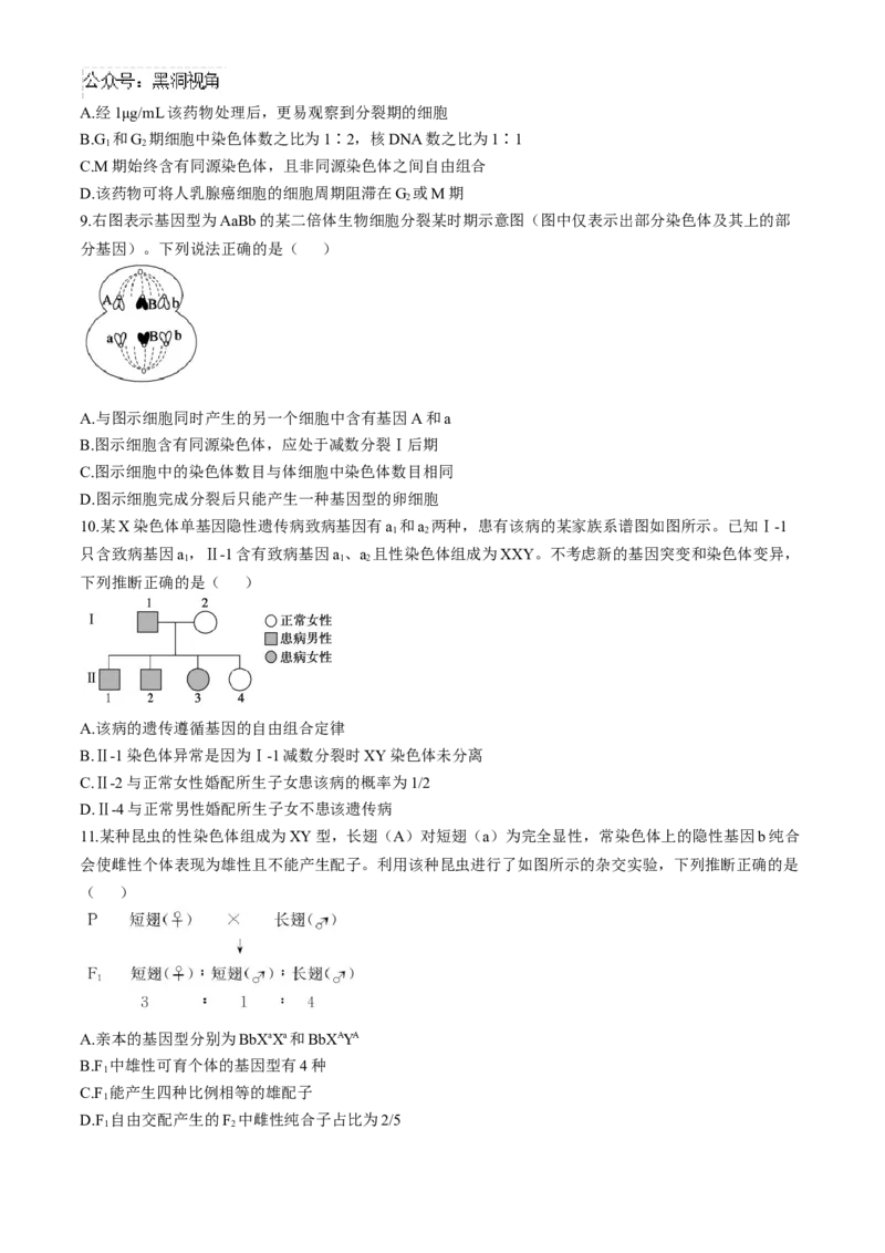 山东省德州市2024-2025学年高三上学期期中考试生物试题_2024-2025高三（6-6月题库）_2024年11月试卷_1116山东省德州市2024-2025学年高三上学期期中考试（全科）