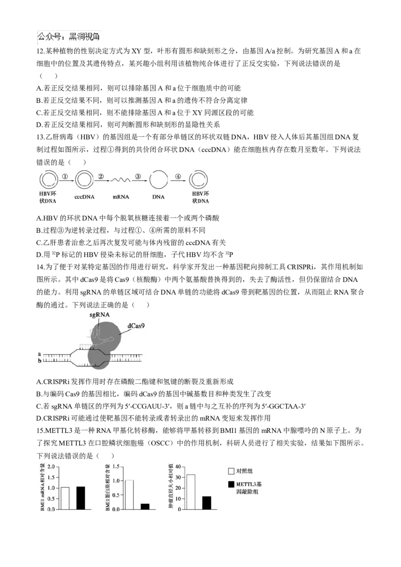 山东省德州市2024-2025学年高三上学期期中考试生物试题_2024-2025高三（6-6月题库）_2024年11月试卷_1116山东省德州市2024-2025学年高三上学期期中考试（全科）