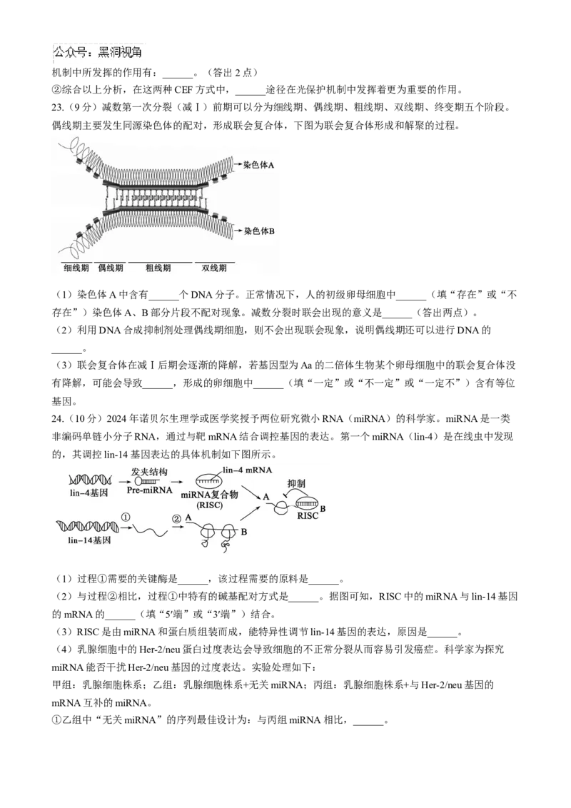 山东省德州市2024-2025学年高三上学期期中考试生物试题_2024-2025高三（6-6月题库）_2024年11月试卷_1116山东省德州市2024-2025学年高三上学期期中考试（全科）