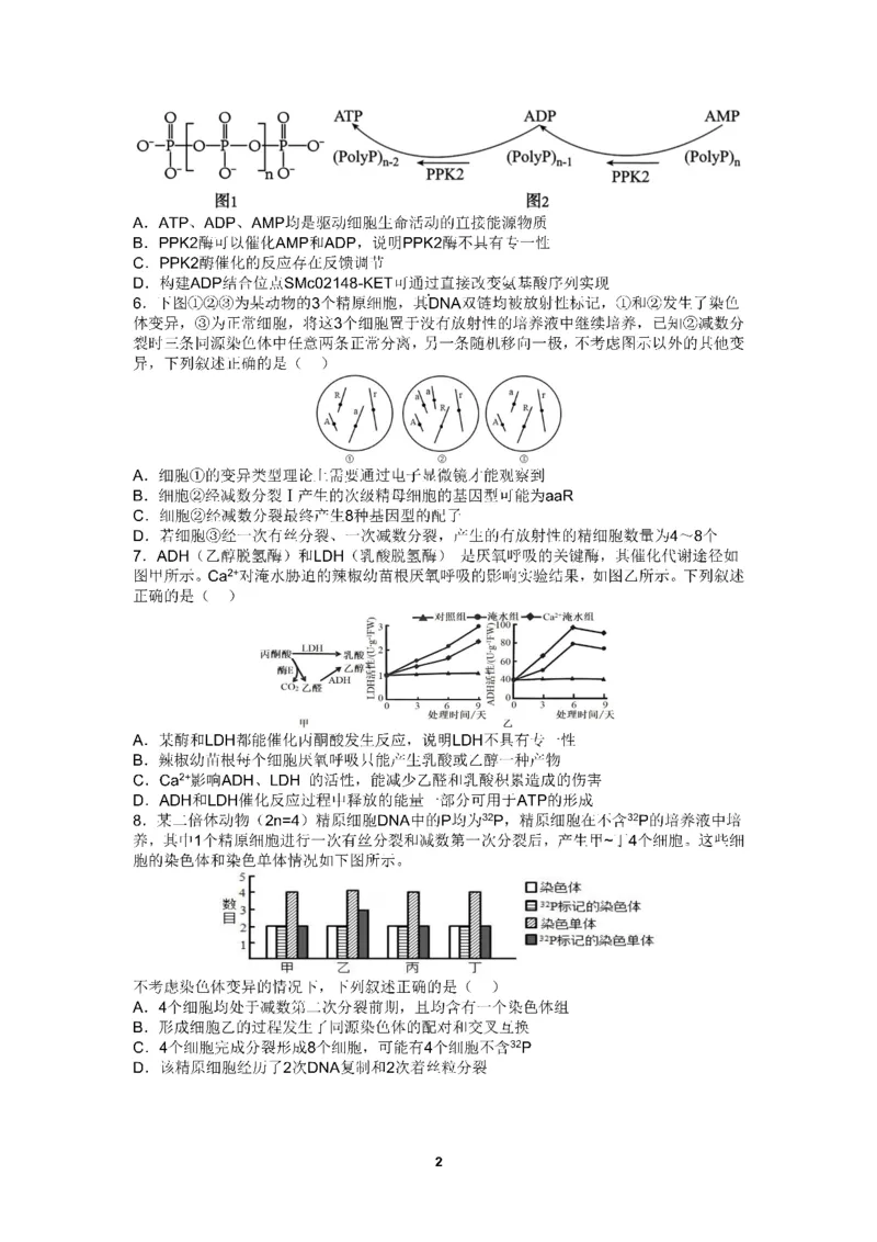 四川省成都市第七中学2024-2025学年高三上学期10月月考生物试题_2024-2025高三（6-6月题库）_2024年10月试卷_1011四川省成都市第七中学2024-2025学年高三上学期10月月考