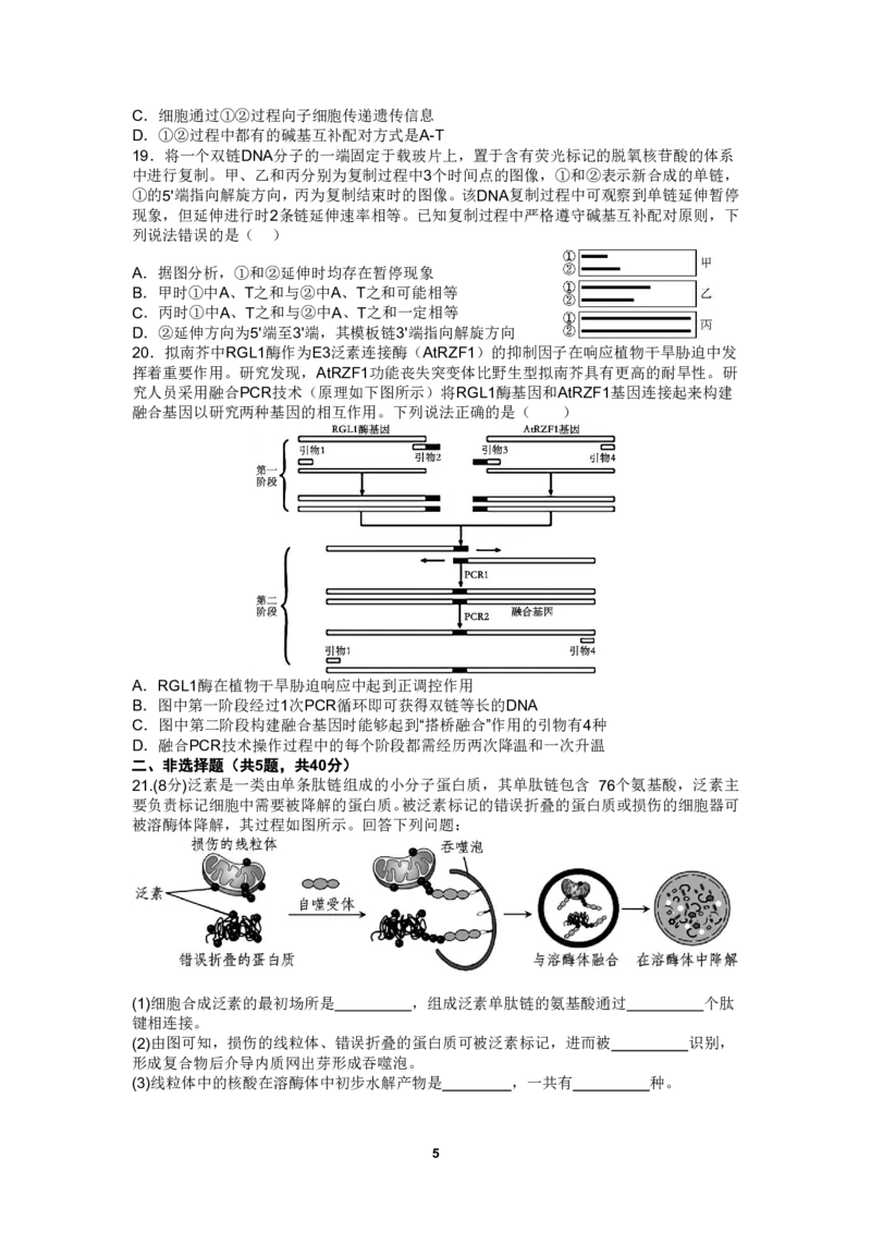 四川省成都市第七中学2024-2025学年高三上学期10月月考生物试题_2024-2025高三（6-6月题库）_2024年10月试卷_1011四川省成都市第七中学2024-2025学年高三上学期10月月考