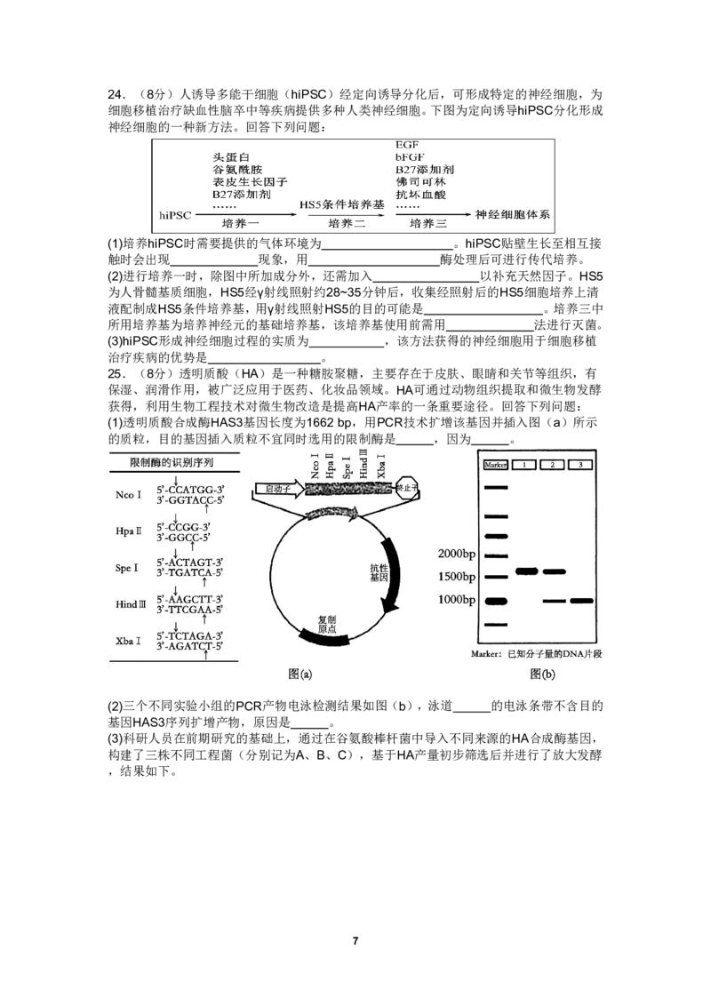 四川省成都市第七中学2024-2025学年高三上学期10月月考生物试题_2024-2025高三（6-6月题库）_2024年10月试卷_1011四川省成都市第七中学2024-2025学年高三上学期10月月考
