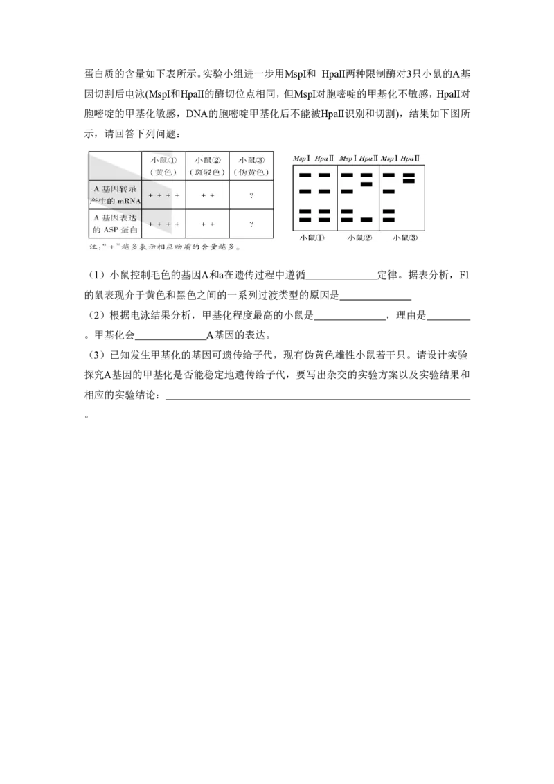 湖南省天一大联考2023-2024学年11月份高三年级三联生物(1)_2023年11月_01每日更新_28号_2024届湖南省天一大联考11月份高三年级三联