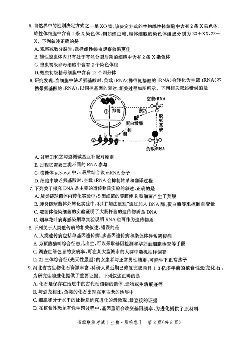 河北省省级联考2024-2025学年高三上学期1月期末生物试题_2024-2025高三（6-6月题库）_2025年01月试卷_0107河北省省级联考2025届高三上学期1月期末考试（全科）