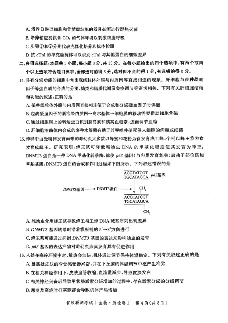 河北省省级联考2024-2025学年高三上学期1月期末生物试题_2024-2025高三（6-6月题库）_2025年01月试卷_0107河北省省级联考2025届高三上学期1月期末考试（全科）