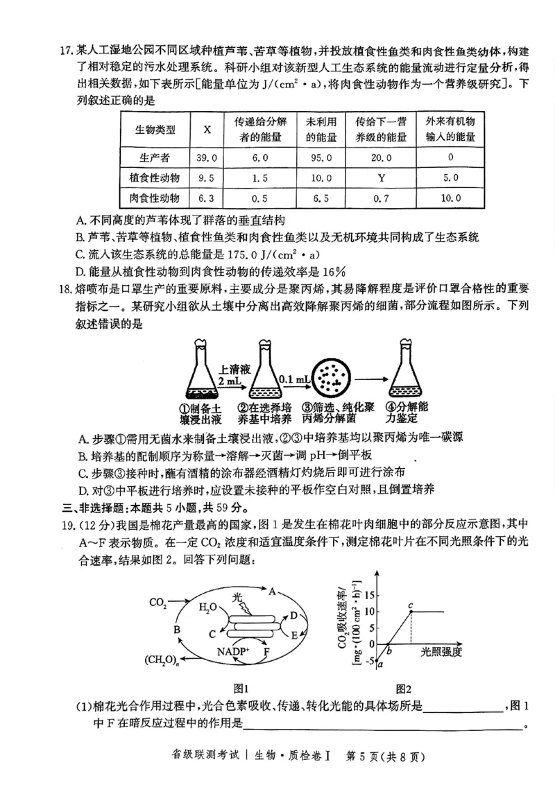 河北省省级联考2024-2025学年高三上学期1月期末生物试题_2024-2025高三（6-6月题库）_2025年01月试卷_0107河北省省级联考2025届高三上学期1月期末考试（全科）