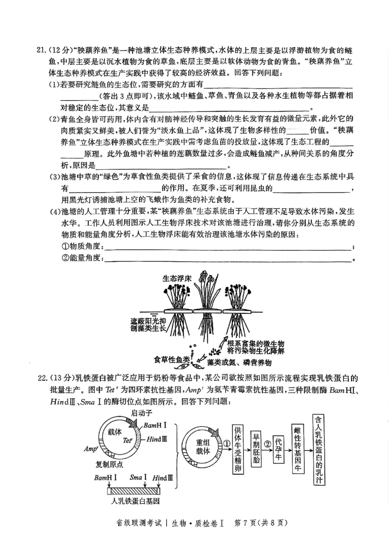 河北省省级联考2024-2025学年高三上学期1月期末生物试题_2024-2025高三（6-6月题库）_2025年01月试卷_0107河北省省级联考2025届高三上学期1月期末考试（全科）