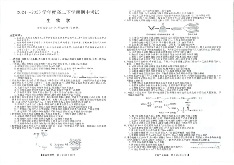 吉林省松原市2024~2025学年度高二下学期期中考试生物学（含答题卡、答案）_2024-2025高二（7-7月题库）_2025年05月试卷_0530吉林省松原市2024-2025学年高二下学期期中考试