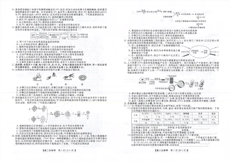 吉林省松原市2024~2025学年度高二下学期期中考试生物学（含答题卡、答案）_2024-2025高二（7-7月题库）_2025年05月试卷_0530吉林省松原市2024-2025学年高二下学期期中考试