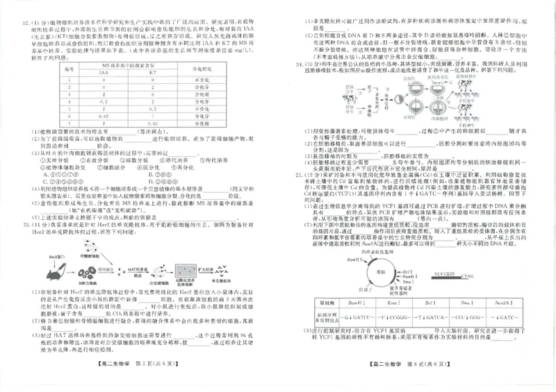 吉林省松原市2024~2025学年度高二下学期期中考试生物学（含答题卡、答案）_2024-2025高二（7-7月题库）_2025年05月试卷_0530吉林省松原市2024-2025学年高二下学期期中考试