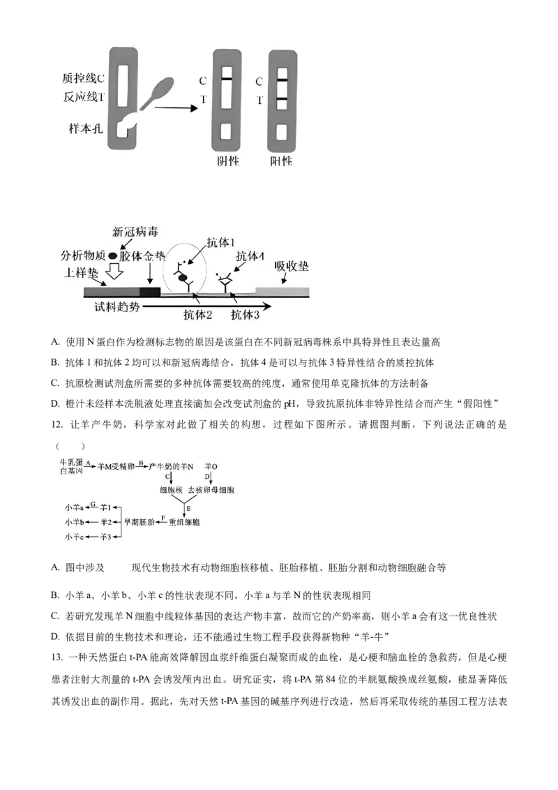 安徽省六安第一中学2023-2024学年高二下学期7月期末考试生物Word版含答案_2024-2025高三（6-6月题库）_2024年07月试卷_240722安徽省六安第一中学2023-2024学年高二下学期7月期末考试