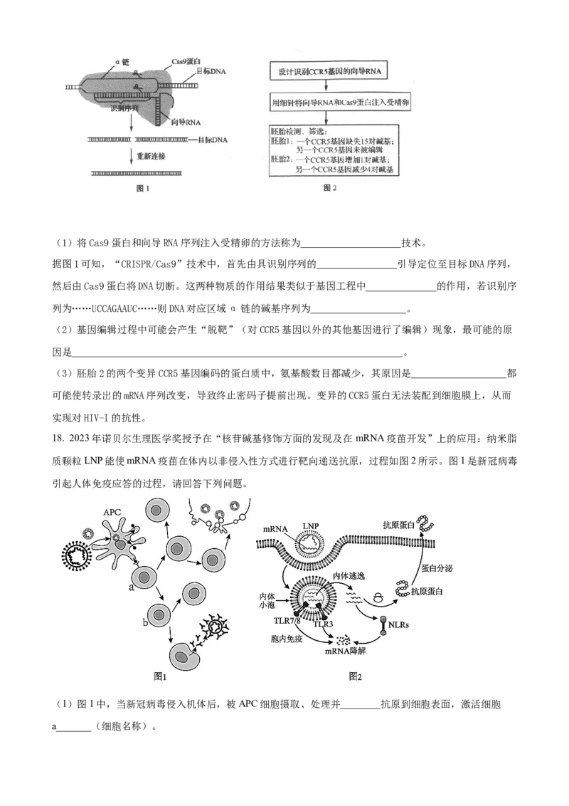 安徽省六安第一中学2023-2024学年高二下学期7月期末考试生物Word版含答案_2024-2025高三（6-6月题库）_2024年07月试卷_240722安徽省六安第一中学2023-2024学年高二下学期7月期末考试