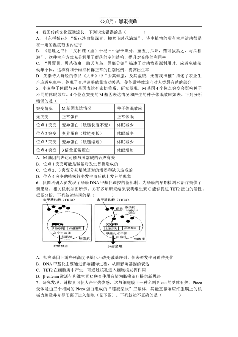 江西省宜春市丰城中学2024-2025学年高三上学期12月创新班段考试题生物Word版含答案_2024-2025高三（6-6月题库）_2024年12月试卷