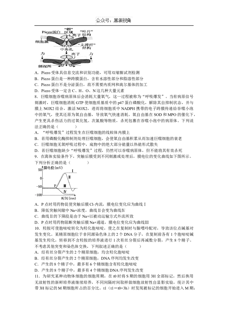 江西省宜春市丰城中学2024-2025学年高三上学期12月创新班段考试题生物Word版含答案_2024-2025高三（6-6月题库）_2024年12月试卷