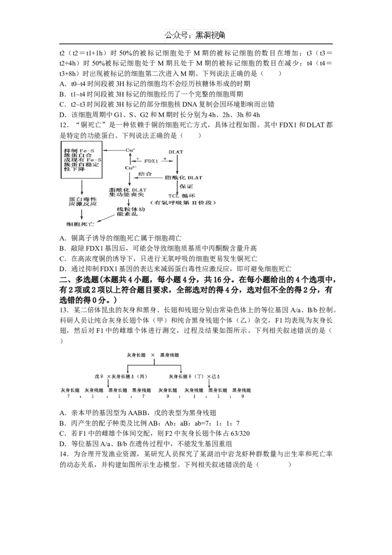 江西省宜春市丰城中学2024-2025学年高三上学期12月创新班段考试题生物Word版含答案_2024-2025高三（6-6月题库）_2024年12月试卷
