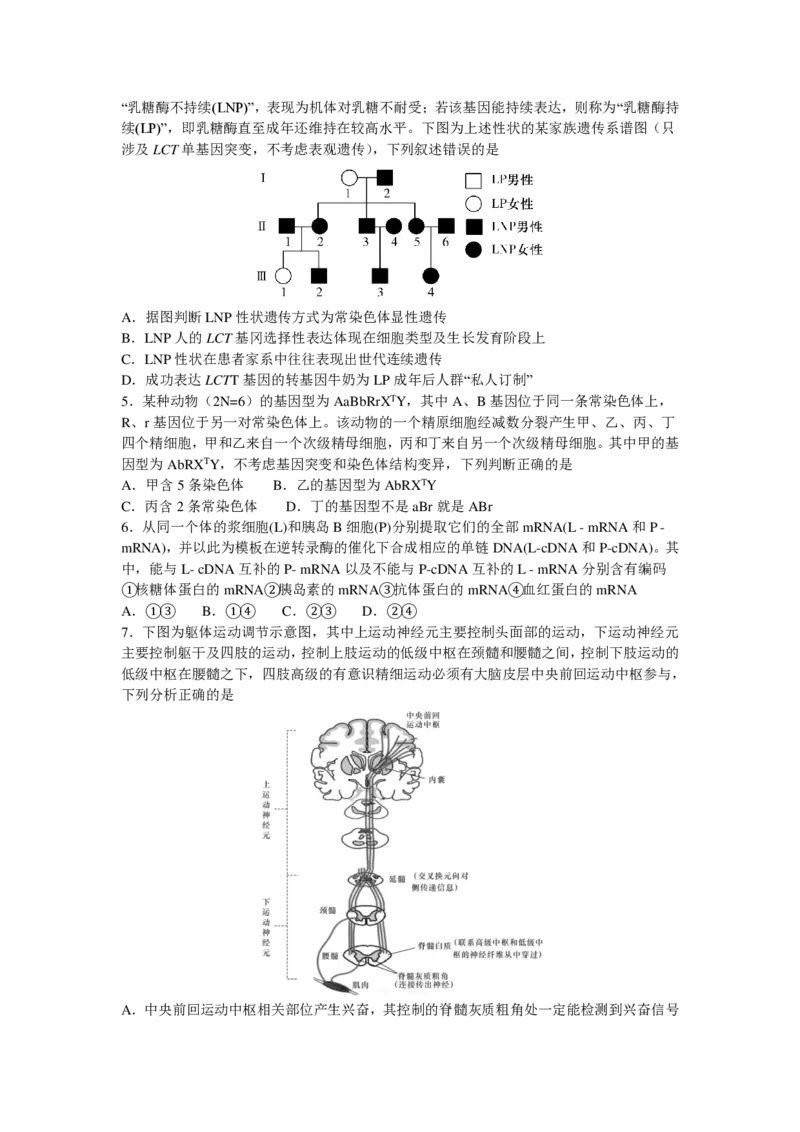 生物_2024年5月_01按日期_28号_2024届湖南省雅礼中学高三下学期模拟试卷（二）_2024届湖南省雅礼中学高三下学期模拟试卷（二）生物