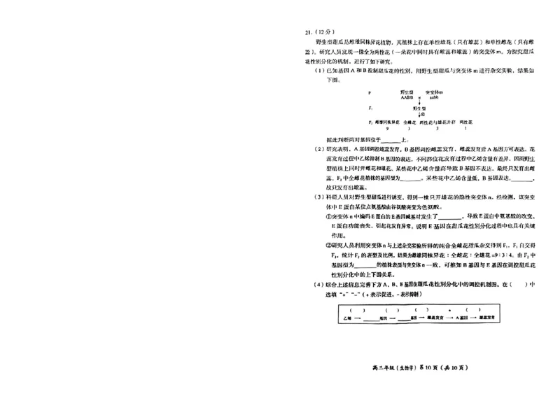 生物试卷(1)_2023年11月_0211月合集_2024届北京市海淀区高三上学期期中考试_北京市海淀区2024届高三上学期期中考试生物