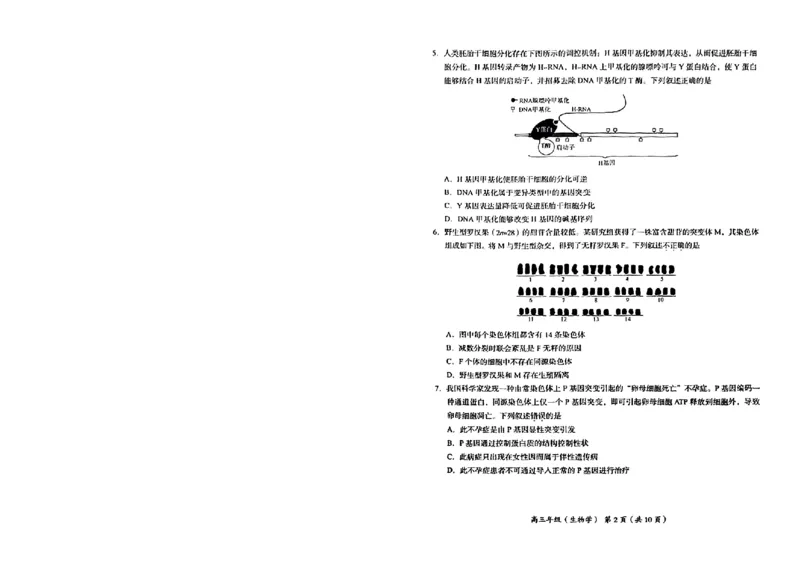 生物试卷(1)_2023年11月_0211月合集_2024届北京市海淀区高三上学期期中考试_北京市海淀区2024届高三上学期期中考试生物