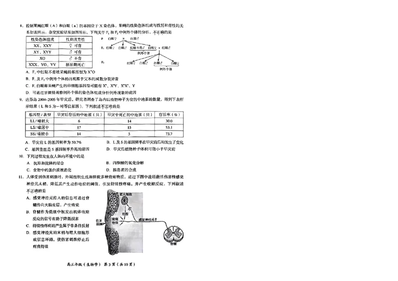 生物试卷(1)_2023年11月_0211月合集_2024届北京市海淀区高三上学期期中考试_北京市海淀区2024届高三上学期期中考试生物
