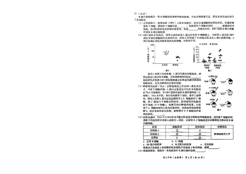生物试卷(1)_2023年11月_0211月合集_2024届北京市海淀区高三上学期期中考试_北京市海淀区2024届高三上学期期中考试生物