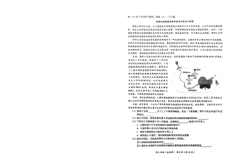 生物试卷(1)_2023年11月_0211月合集_2024届北京市海淀区高三上学期期中考试_北京市海淀区2024届高三上学期期中考试生物