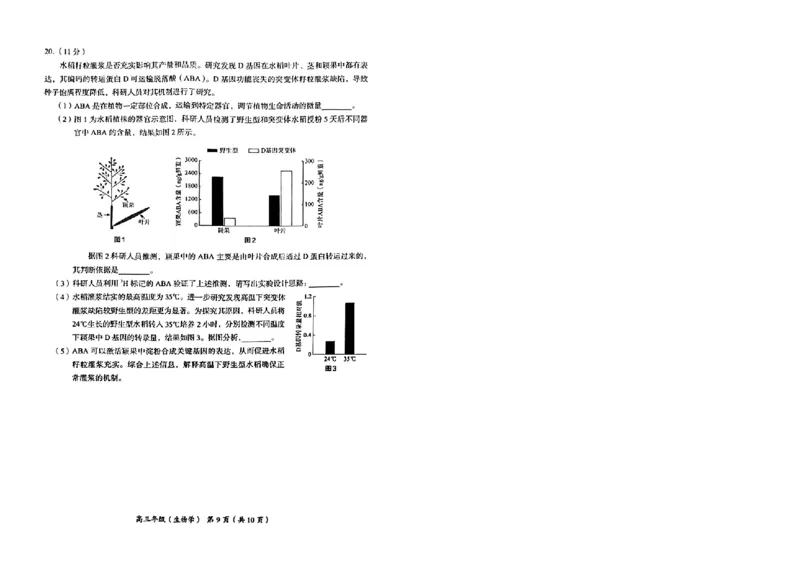 生物试卷(1)_2023年11月_0211月合集_2024届北京市海淀区高三上学期期中考试_北京市海淀区2024届高三上学期期中考试生物
