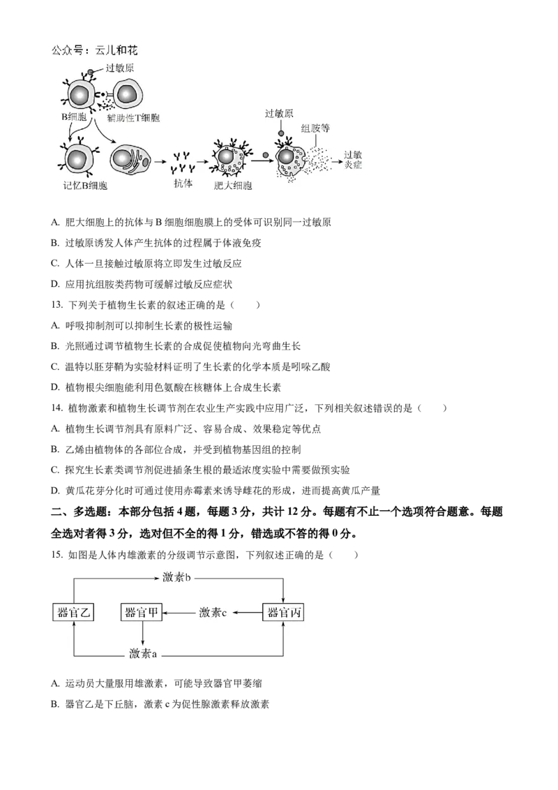 江苏省扬州市高邮市2024-2025学年高二上学期11月期中生物试题Word版无答案_2024-2025高二（7-7月题库）_2024年12月试卷_1226江苏省扬州市高邮市2024-2025学年高二上学期11月期中考试