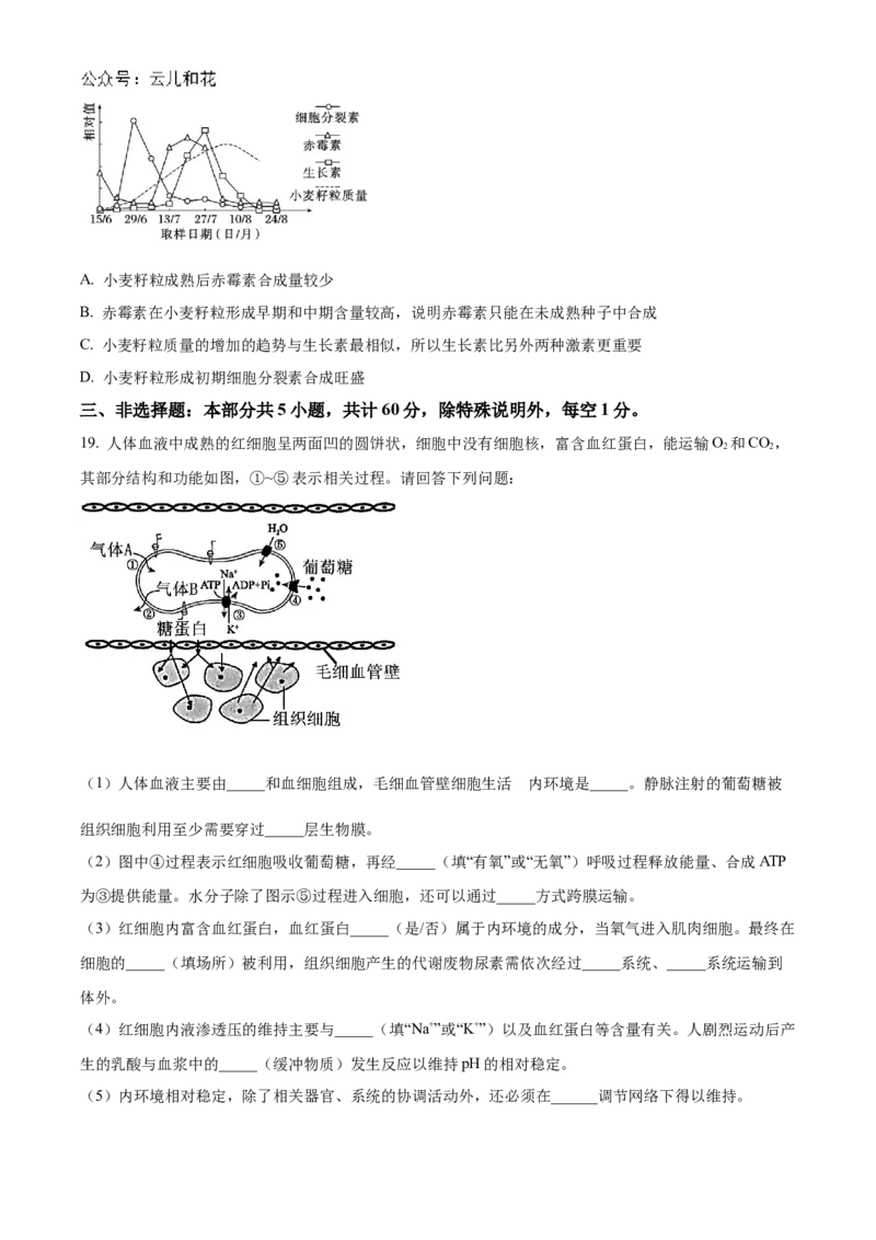 江苏省扬州市高邮市2024-2025学年高二上学期11月期中生物试题Word版无答案_2024-2025高二（7-7月题库）_2024年12月试卷_1226江苏省扬州市高邮市2024-2025学年高二上学期11月期中考试
