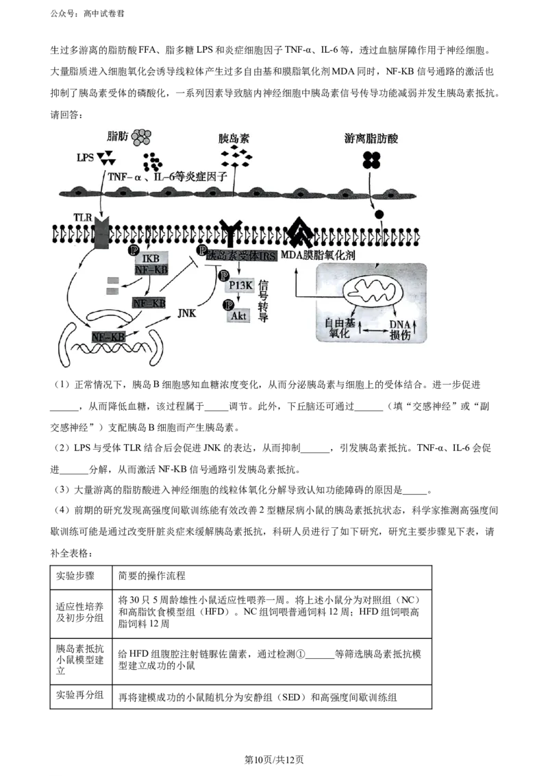 精品解析：山东省实验中学2024届高三下学期第一次模拟考试生物试题（原卷版）_2024年4月_01按日期_13号_2024届山东省实验中学高三下学期一模考试