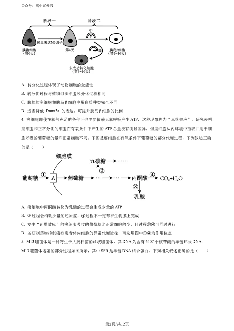 精品解析：山东省实验中学2024届高三下学期第一次模拟考试生物试题（原卷版）_2024年4月_01按日期_13号_2024届山东省实验中学高三下学期一模考试