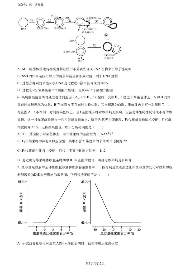 精品解析：山东省实验中学2024届高三下学期第一次模拟考试生物试题（原卷版）_2024年4月_01按日期_13号_2024届山东省实验中学高三下学期一模考试