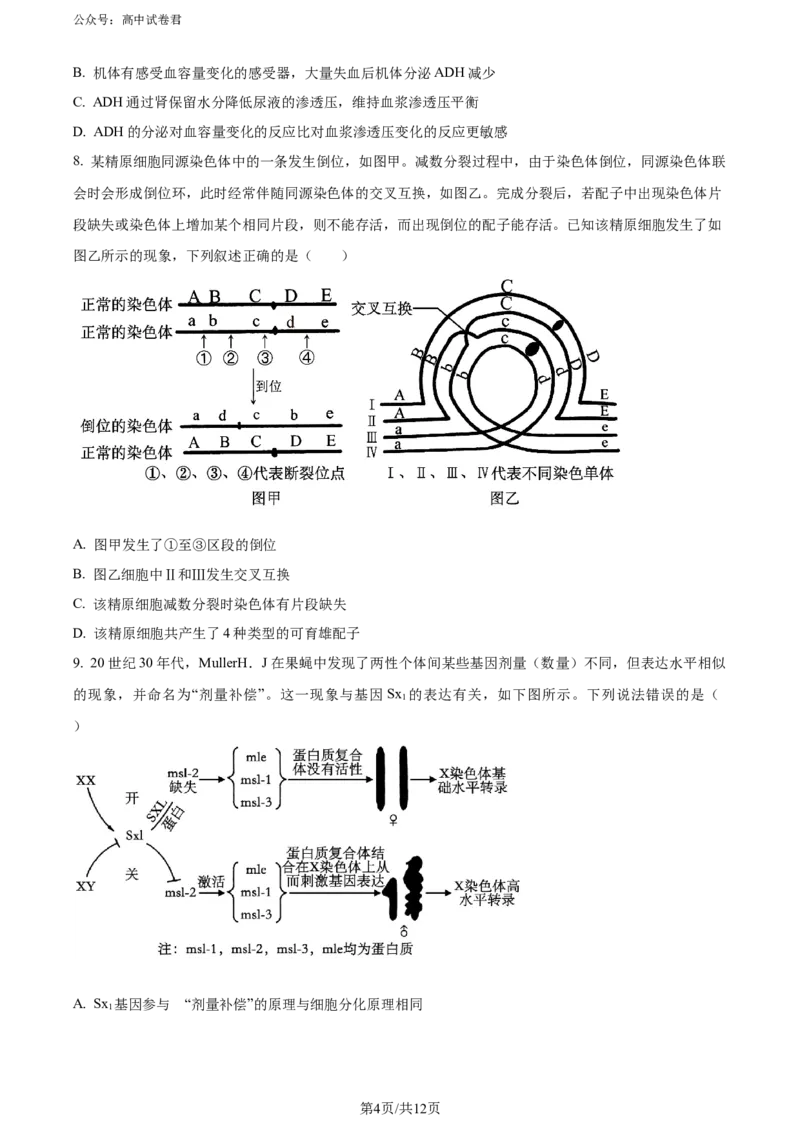 精品解析：山东省实验中学2024届高三下学期第一次模拟考试生物试题（原卷版）_2024年4月_01按日期_13号_2024届山东省实验中学高三下学期一模考试