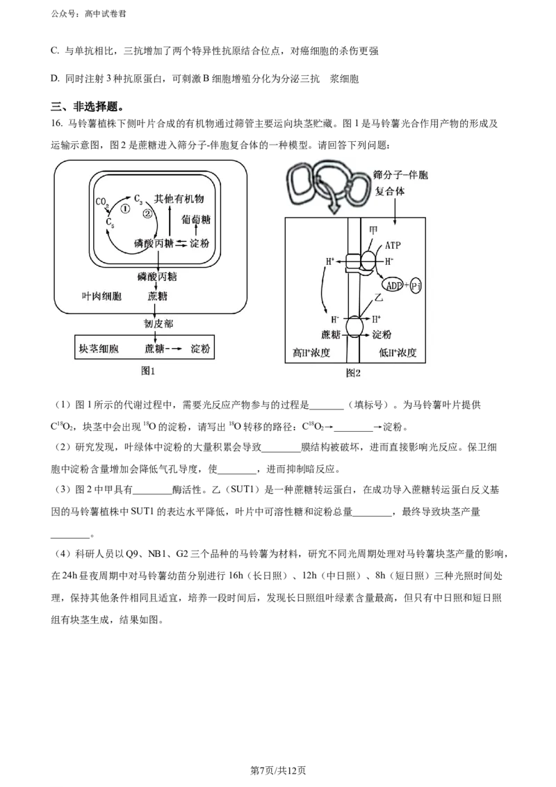 精品解析：山东省实验中学2024届高三下学期第一次模拟考试生物试题（原卷版）_2024年4月_01按日期_13号_2024届山东省实验中学高三下学期一模考试