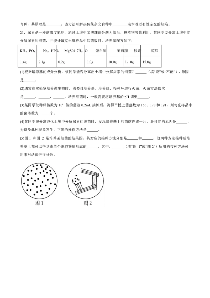 河南省驻马店市新蔡县第一高级中学2024-2025学年高二下学期开学考试生物学试题（PDF版，含答案）_2024-2025高二（7-7月题库）_2025年03月试卷