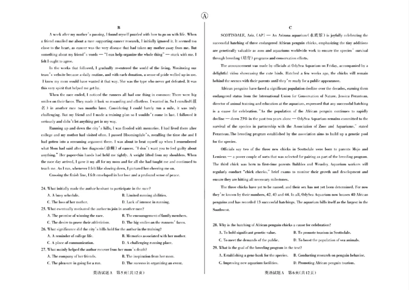 英语试题类型A_2024年3月_013月合集_2024届山西省际名校联考（一）(启航卷)_2024届山西省际名校联考（一）(启航卷)英语