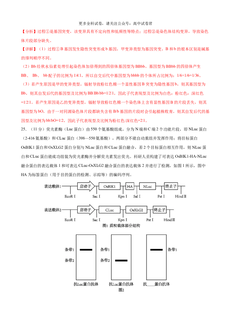生物（九省联考考后提升卷，黑龙江、吉林）（解析版）_2024年4月_其他_2024年1月新&ldquo;九省联考&rdquo;考后提升卷（原卷+解析）_2024年1月&ldquo;九省联考&rdquo;生物真题完全解读与考后提升