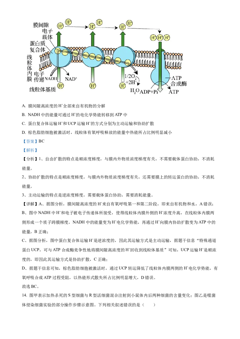 精品解析：2024届湖南省长沙市四区高三下学期3月调研考试生物试题（解析版）_2024年3月_013月合集_2024届湖南省长沙市四区市高三下学期3月调研考试（一模）