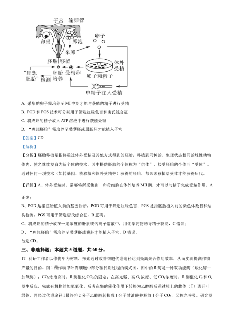 精品解析：2024届湖南省长沙市四区高三下学期3月调研考试生物试题（解析版）_2024年3月_013月合集_2024届湖南省长沙市四区市高三下学期3月调研考试（一模）