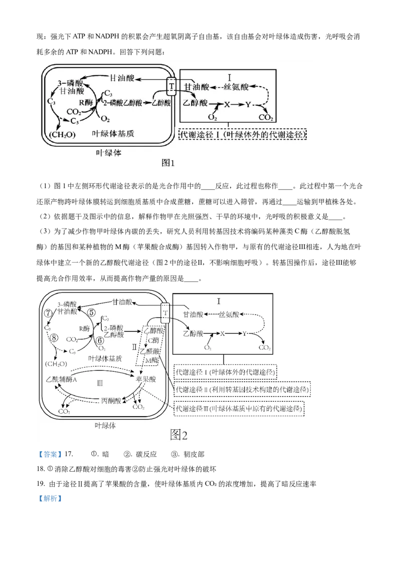 精品解析：2024届湖南省长沙市四区高三下学期3月调研考试生物试题（解析版）_2024年3月_013月合集_2024届湖南省长沙市四区市高三下学期3月调研考试（一模）