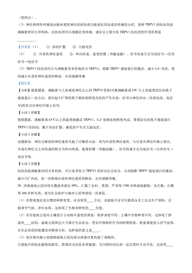 精品解析：2024届湖南省长沙市四区高三下学期3月调研考试生物试题（解析版）_2024年3月_013月合集_2024届湖南省长沙市四区市高三下学期3月调研考试（一模）