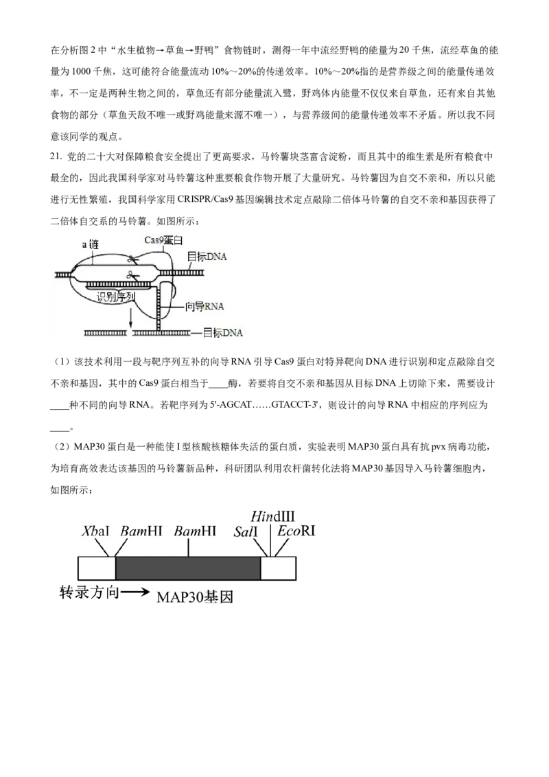 精品解析：2024届湖南省长沙市四区高三下学期3月调研考试生物试题（解析版）_2024年3月_013月合集_2024届湖南省长沙市四区市高三下学期3月调研考试（一模）