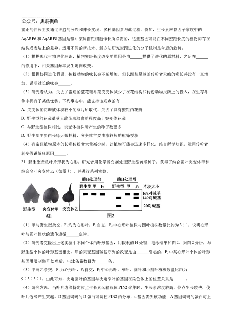 北京市朝阳区2024-2025学年高三上学期11月期中生物试题Word版无答案_2024-2025高三（6-6月题库）_2024年11月试卷_1116北京市朝阳区2024-2025学年高三上学期期中考试（全科）
